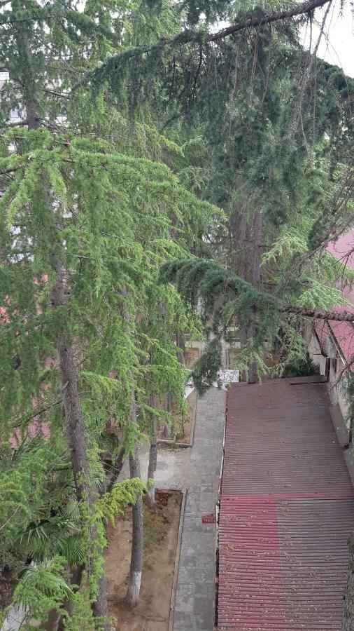 Апартаменты Орион Sukhumi Exterior foto